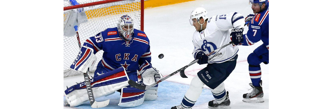 Hormann на хоккее